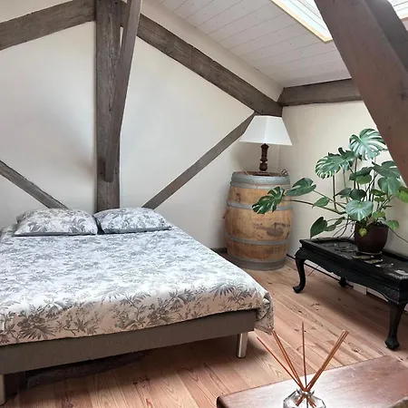 Apartment Loft Anjou *