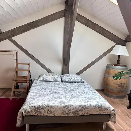 Apartment Loft Anjou